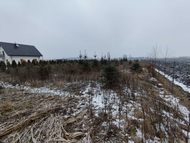 Działka budowlana Strzałkowo, ul. Bursztynowa. Zdjęcie 1