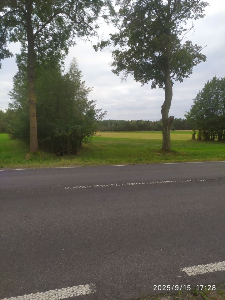 Działka rolna Ościsłowo. Zdjęcie 3