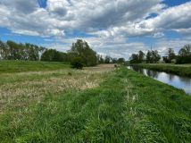 Działka rolna Kołczyn, Kołczyn. Zdjęcie 3