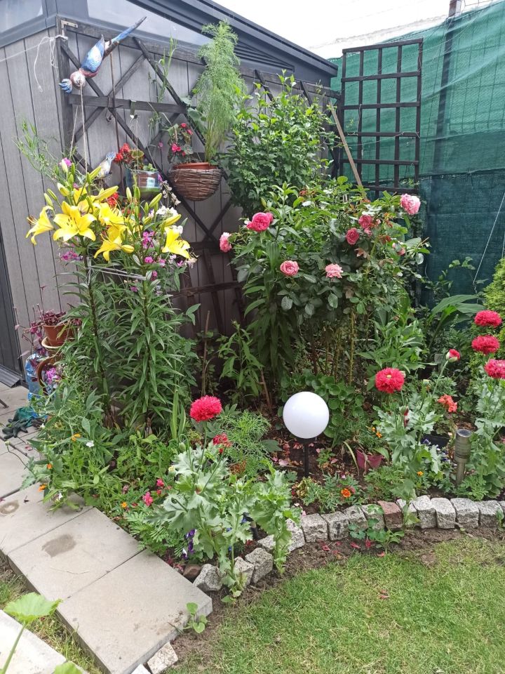 Mieszkanie 2-pokojowe Warszawa Białołęka, ul. Kamykowa. Zdjęcie 3