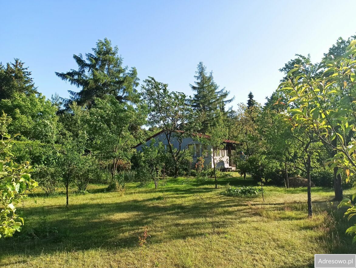 Działka rod Szczaki. Zdjęcie 6