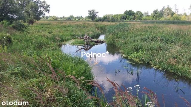 Działka budowlana Kotuń. Zdjęcie 3