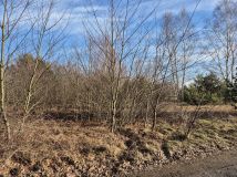 Działka budowlana Grabów nad Pilicą, ul. Kolonia Piaski. Zdjęcie 4