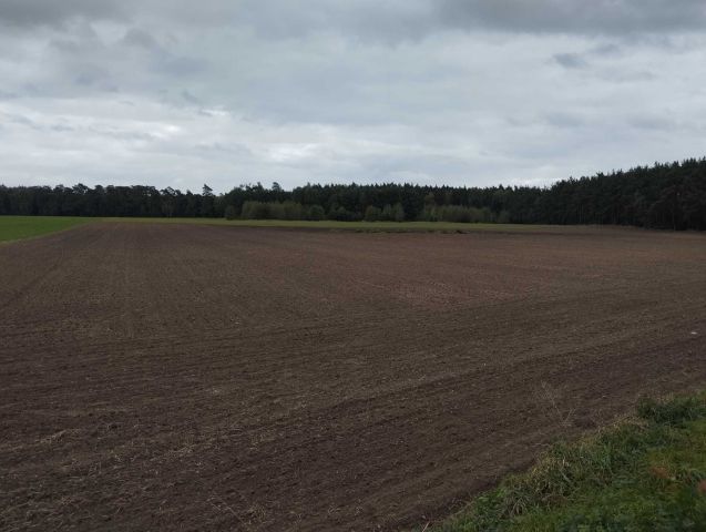 Działka rolna Komorzewo. Zdjęcie 1