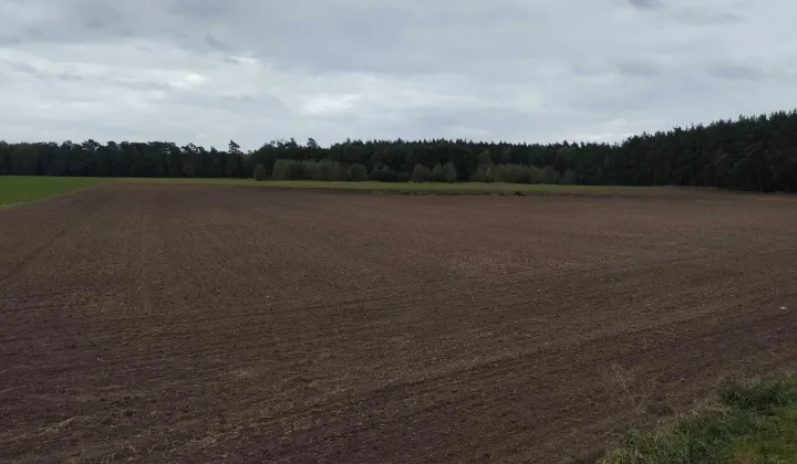 Działka rolna Komorzewo