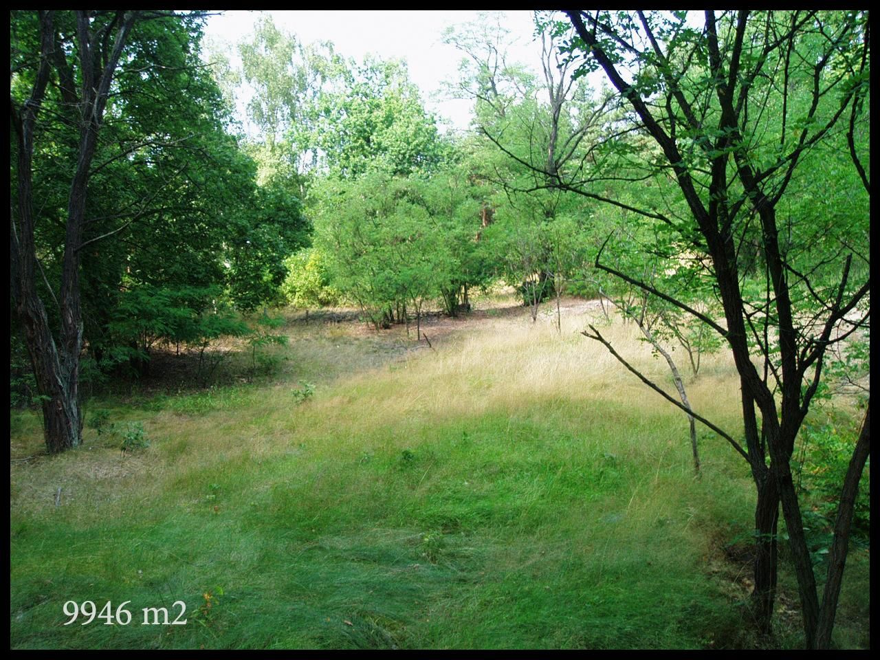 Działka rolna Warszawa Białołęka Dworska, ul. Łąkowa. Zdjęcie 6