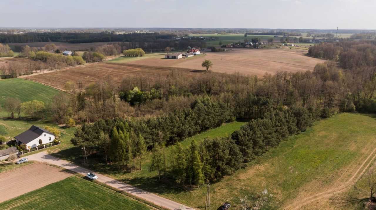Działka rolno-budowlana Stare Zambski. Zdjęcie 12