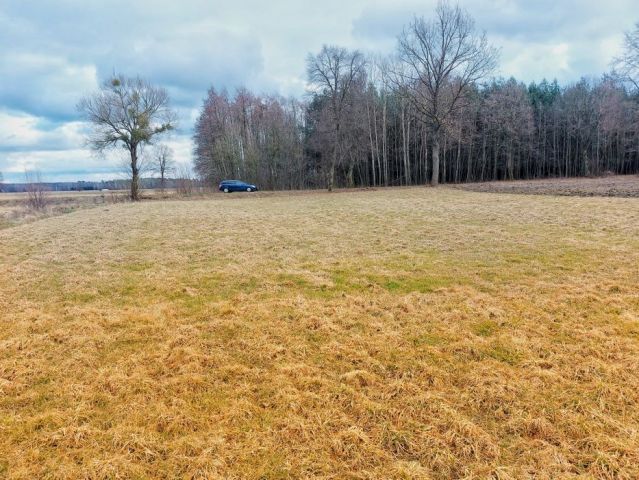 Działka budowlana Agnieszkowo. Zdjęcie 1