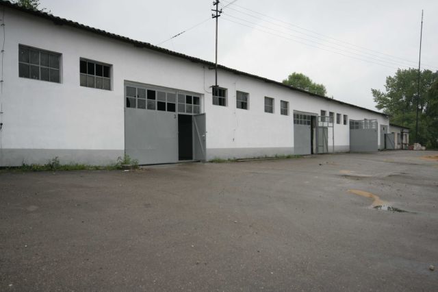 Hala/magazyn Wysoka, ul. Ogrodowa. Zdjęcie 1