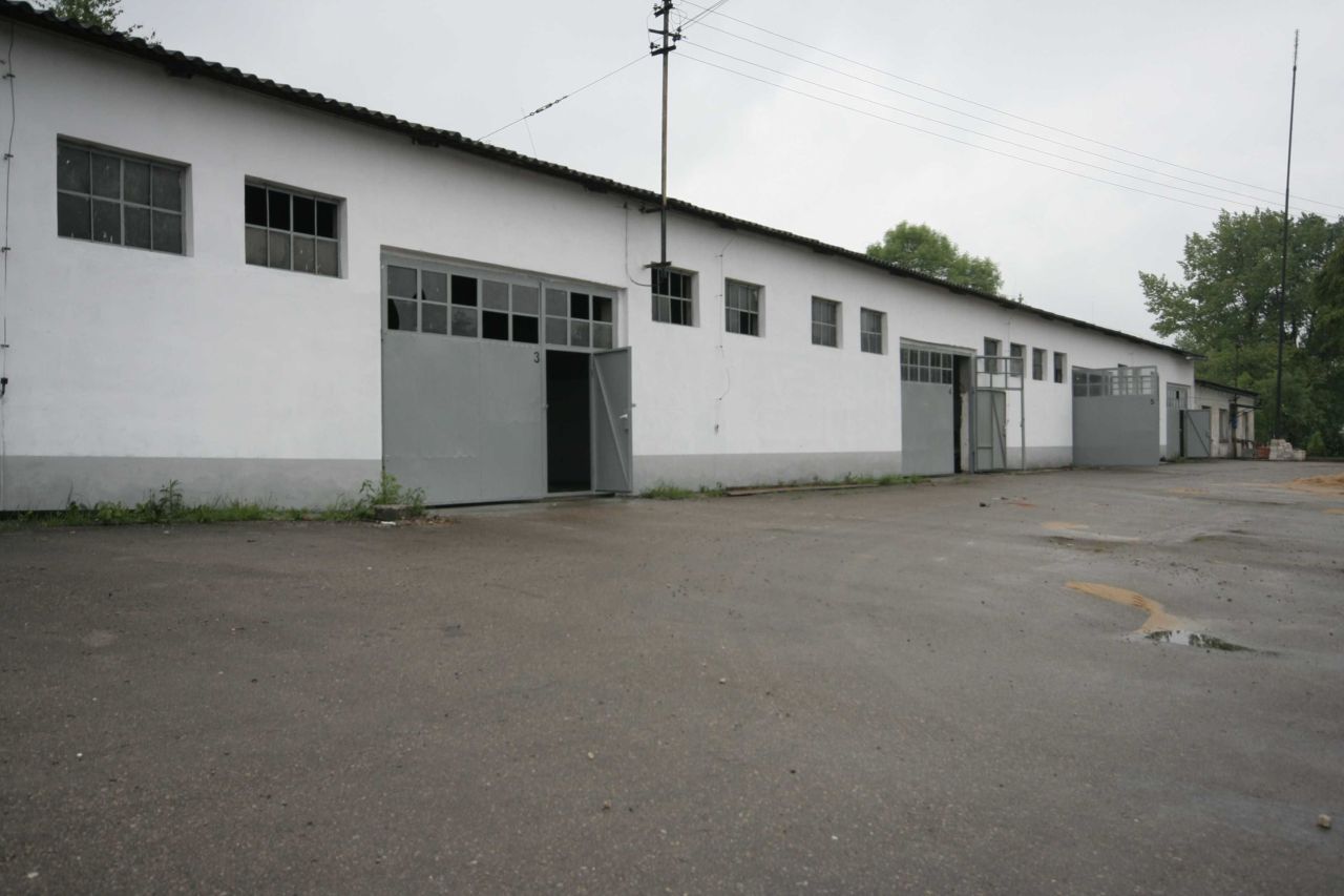 Hala/magazyn Wysoka, ul. Ogrodowa