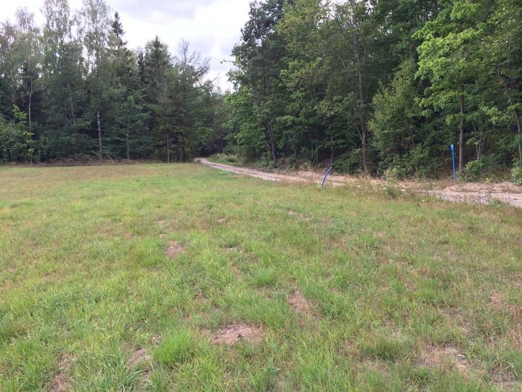 Działka siedliskowa Skrzeszewo, ul. Leśna. Zdjęcie 9