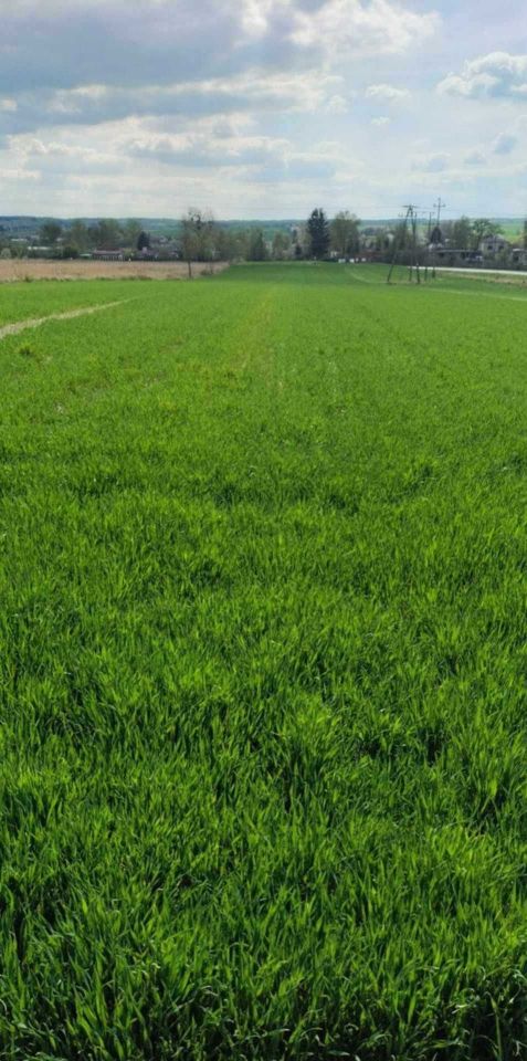 Działka rolna Wojsławice