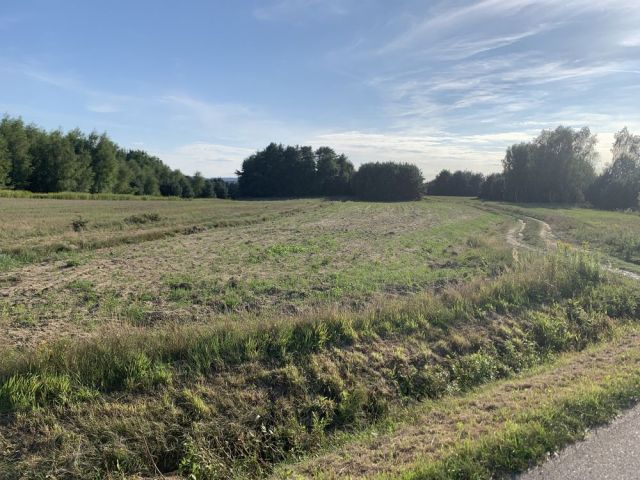 Działka inwestycyjna Skrzyszów. Zdjęcie 1