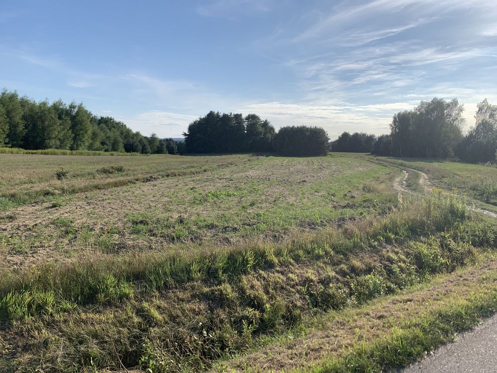 Działka inwestycyjna Skrzyszów. Zdjęcie 1