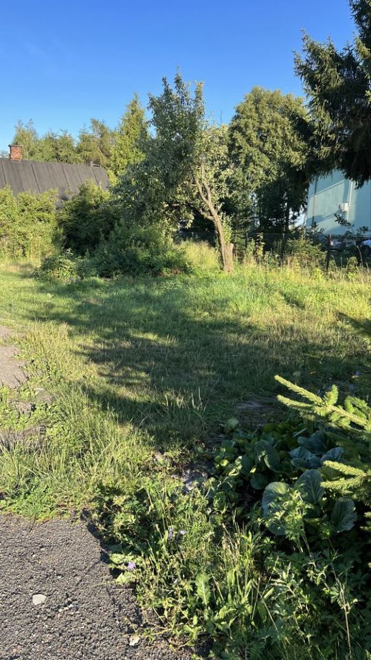 Działka siedliskowa Szopinek. Zdjęcie 2