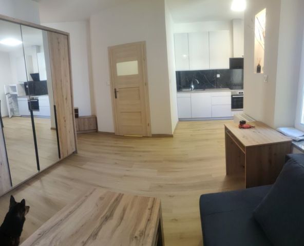 Mieszkanie 1-pokojowe Poznań Jeżyce, ul. Maksymiliana Jackowskiego. Zdjęcie 15