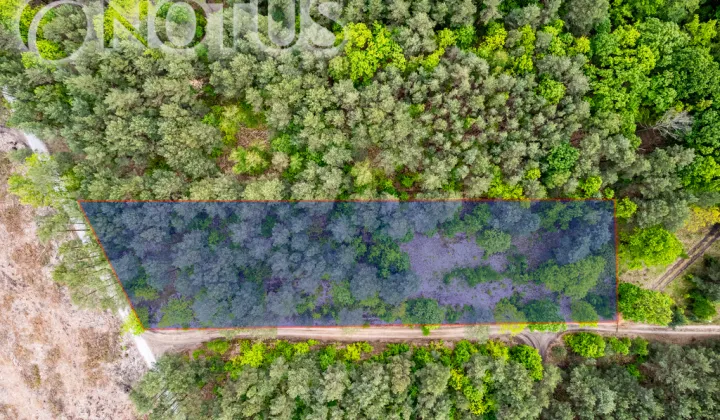 Działka budowlana Radziejowice, ul. Do Lasu