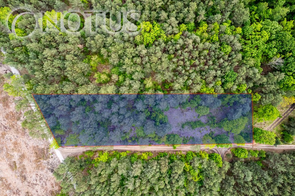 Działka budowlana Radziejowice, ul. Do Lasu. Zdjęcie 1