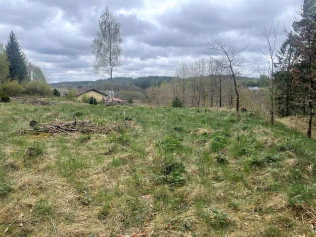 Działka budowlana Studzienice. Zdjęcie 1