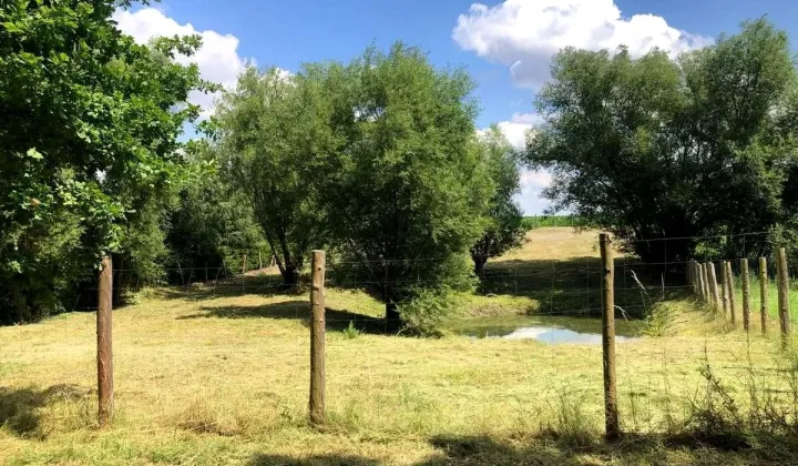 Działka budowlana Łabędź