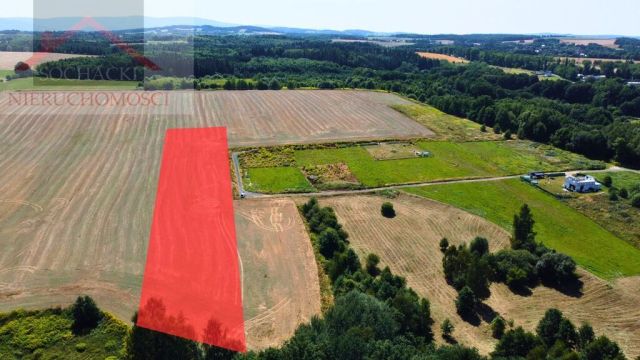 Działka inwestycyjna Olszyna. Zdjęcie 1