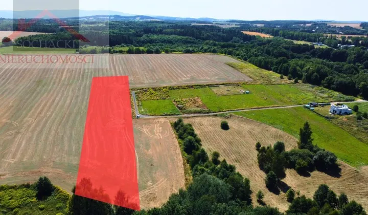 Działka inwestycyjna Olszyna
