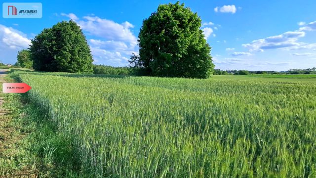 Działka budowlana Liniewo. Zdjęcie 3