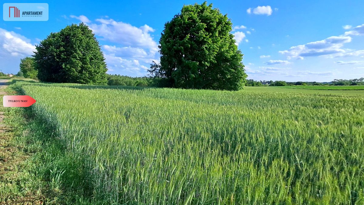 Działka budowlana Liniewo. Zdjęcie 3