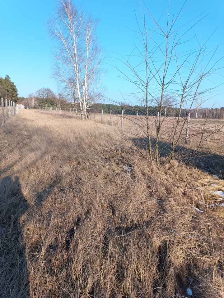 Działka budowlana Kwileń. Zdjęcie 3