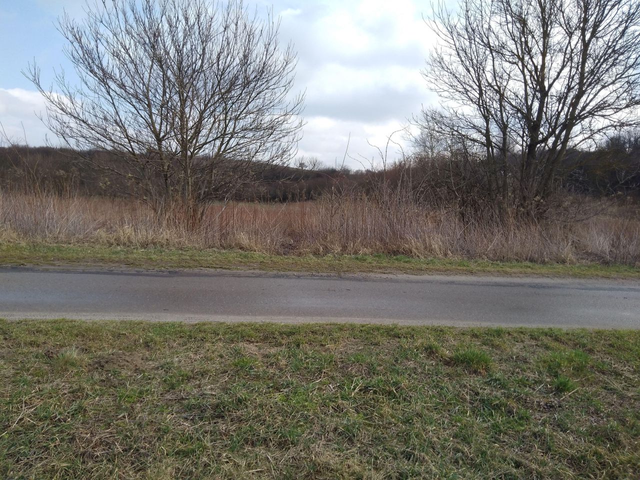 Działka rolno-budowlana Sandomierz Gołębice, ul. Lipowa. Zdjęcie 2