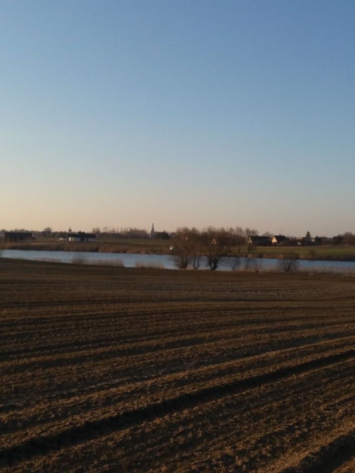 Działka rolna Kuczwały. Zdjęcie 3