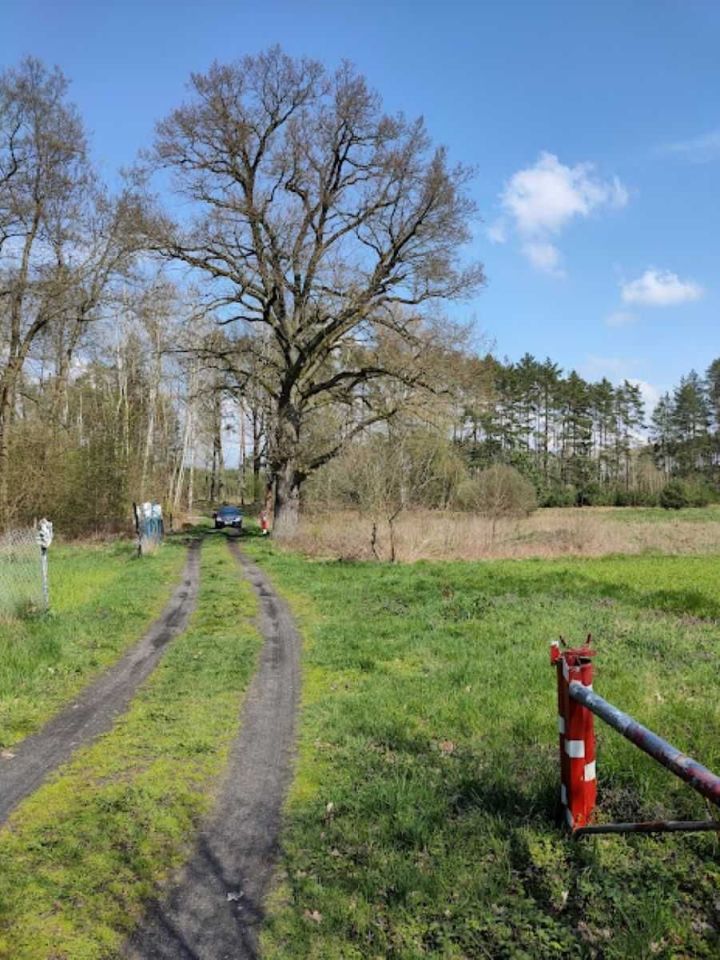 Działka rolna Siercz. Zdjęcie 3