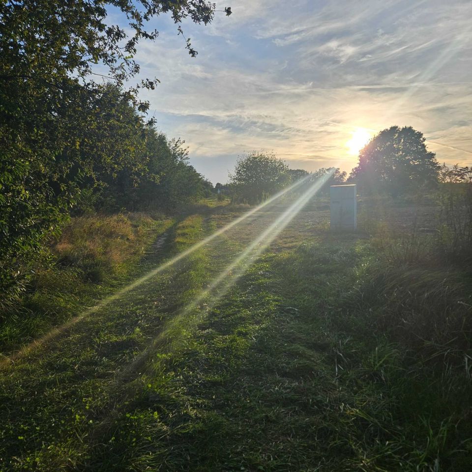 Działka rolno-budowlana Dąbrówka-Marianka. Zdjęcie 2