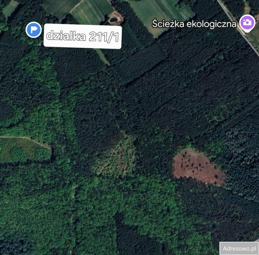 Działka rolna Słup Pierwszy. Zdjęcie 3