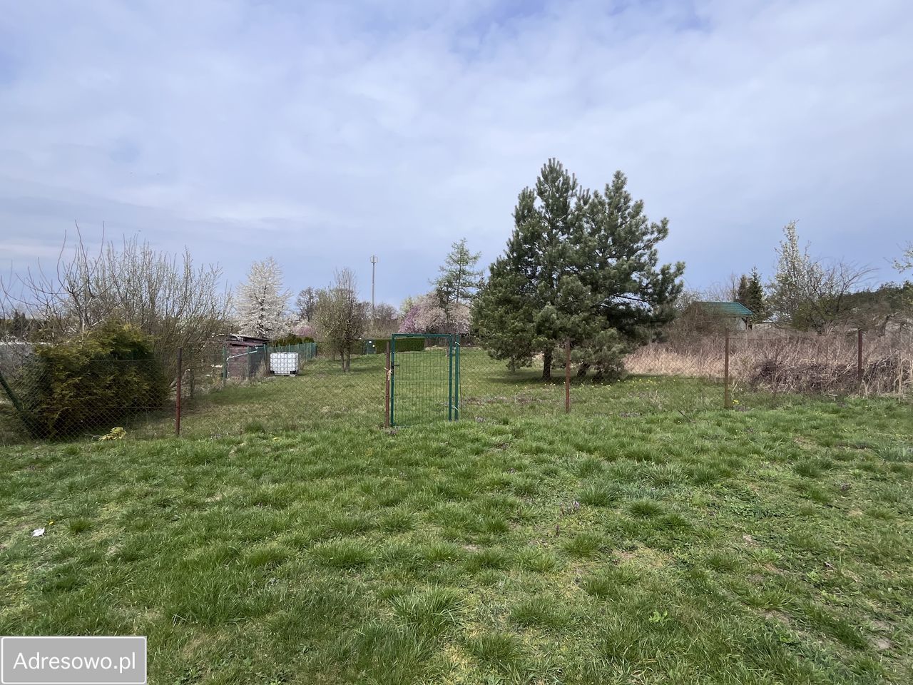 Działka rekreacyjna Torzym. Zdjęcie 1