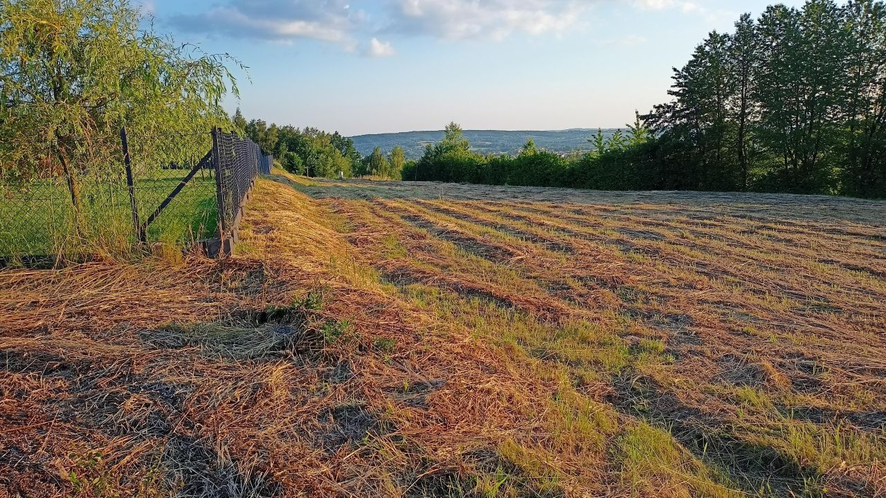 Działka budowlana Tyczyn Łany Tyczyńskie, ul. Asnyka. Zdjęcie 5
