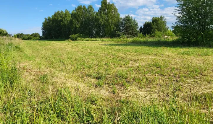 Działka rolno-budowlana Krzykawka