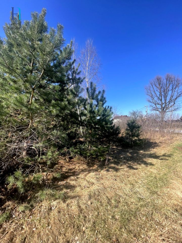 Działka budowlana Janów. Zdjęcie 6