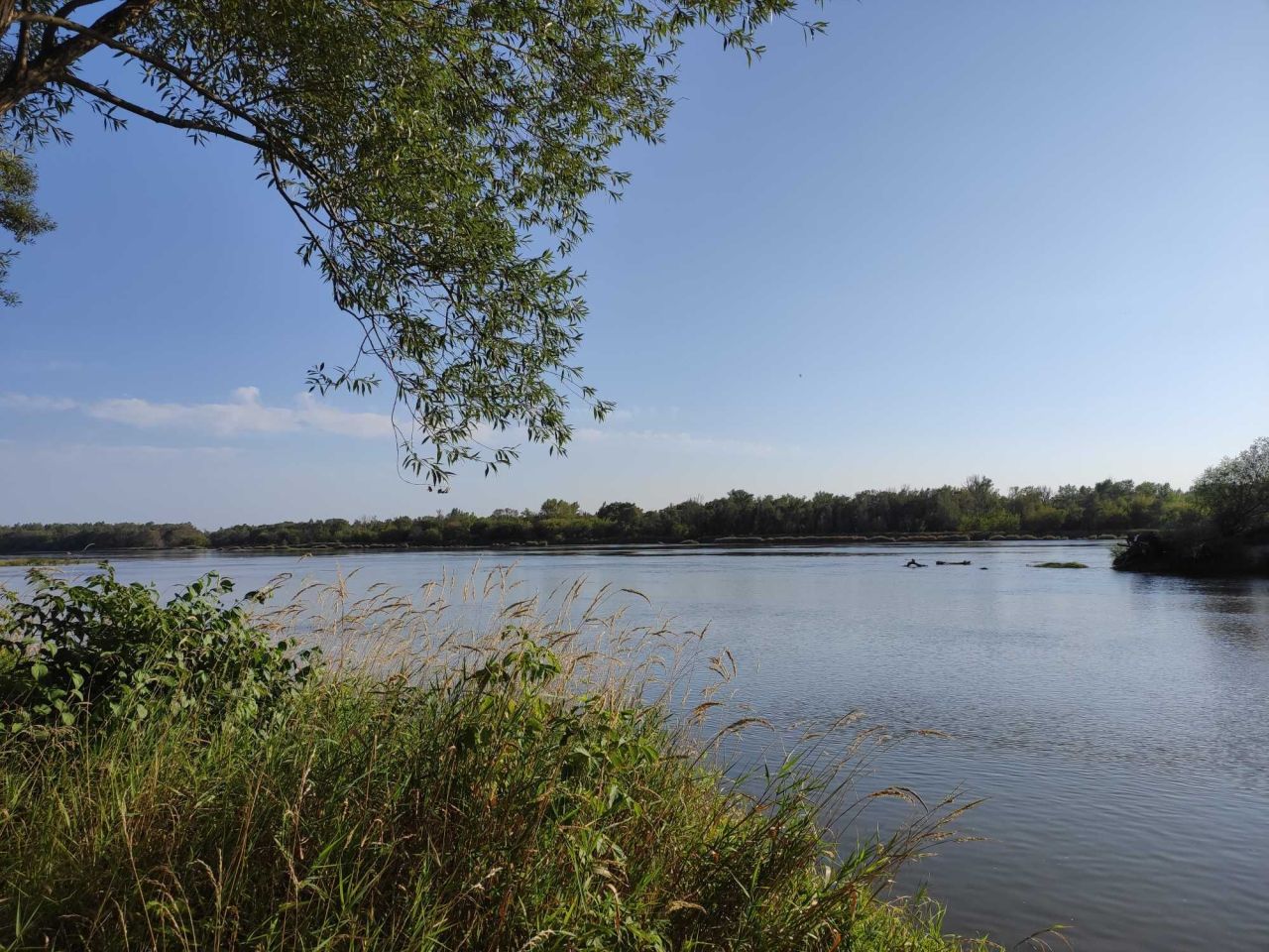 Działka inwestycyjna Opoczka Mała. Zdjęcie 8