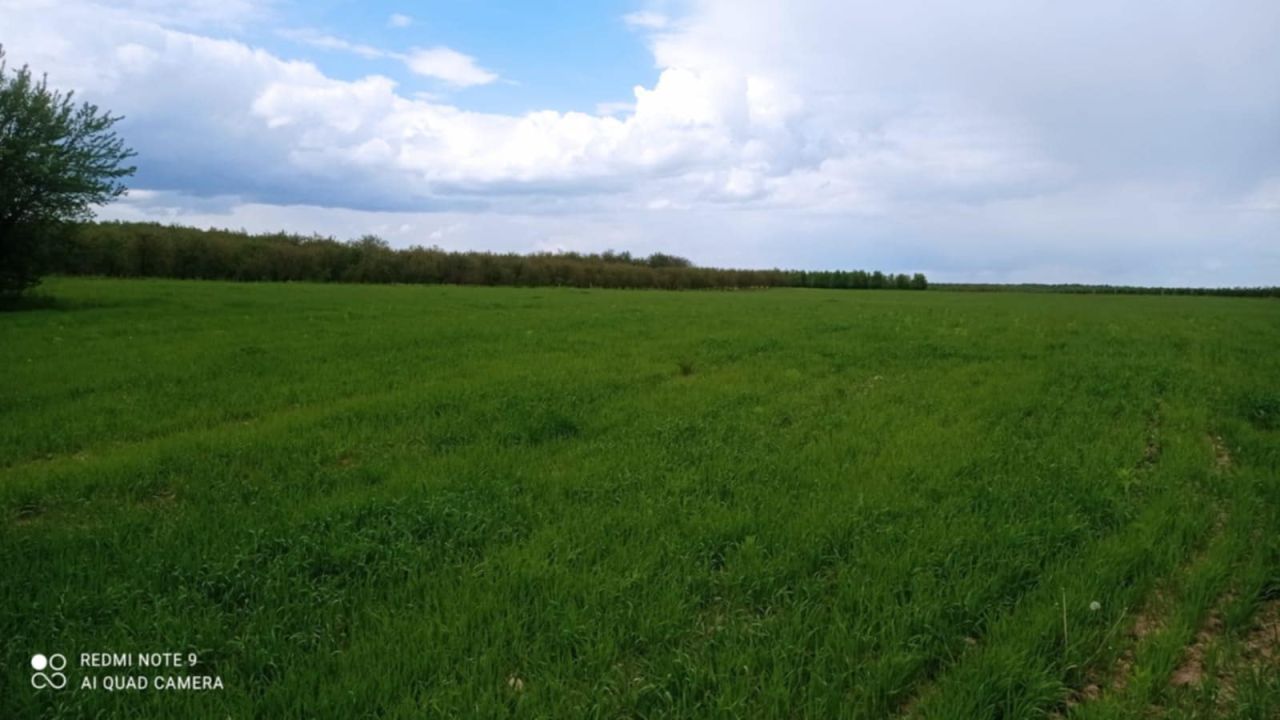 Działka rolna Wygoda