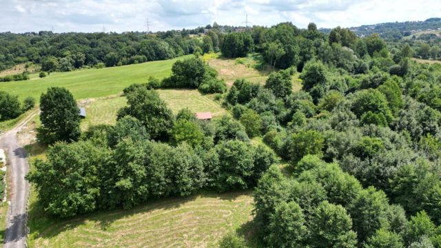 Lokal Gaj Brzyczyna, ul. Spadzista. Zdjęcie 11