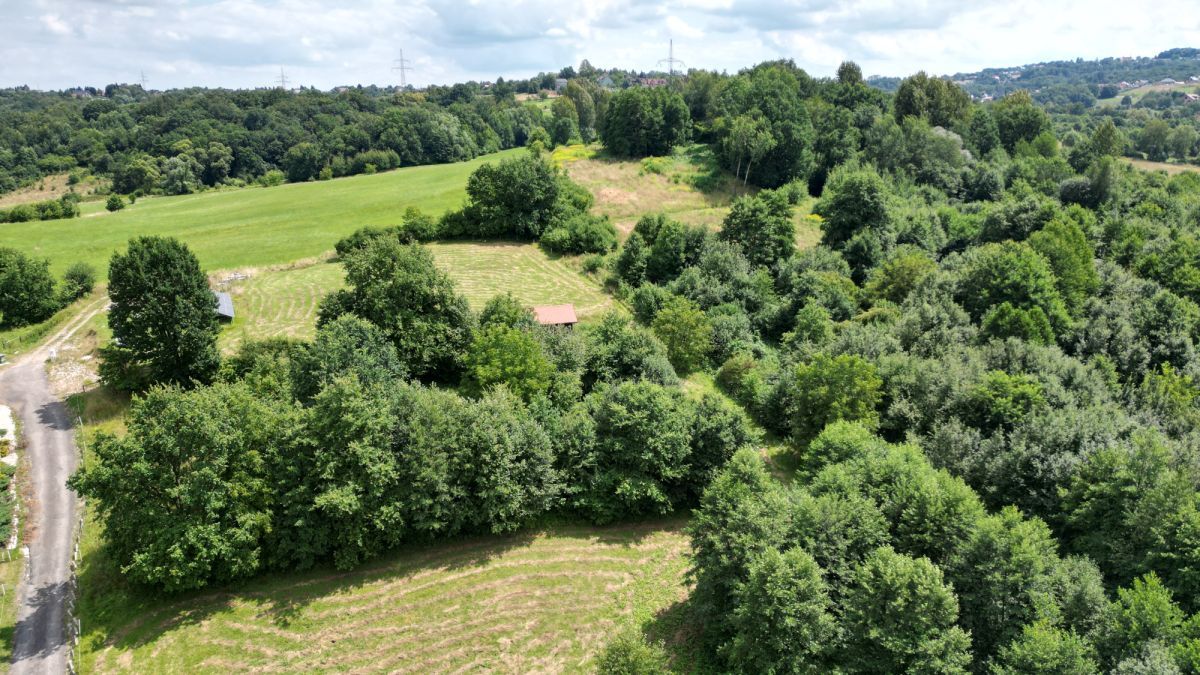 Lokal Gaj Brzyczyna, ul. Spadzista. Zdjęcie 11