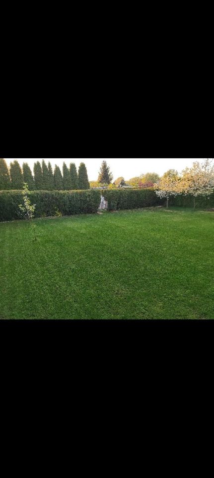 Działka rod Strzelce Opolskie. Zdjęcie 3