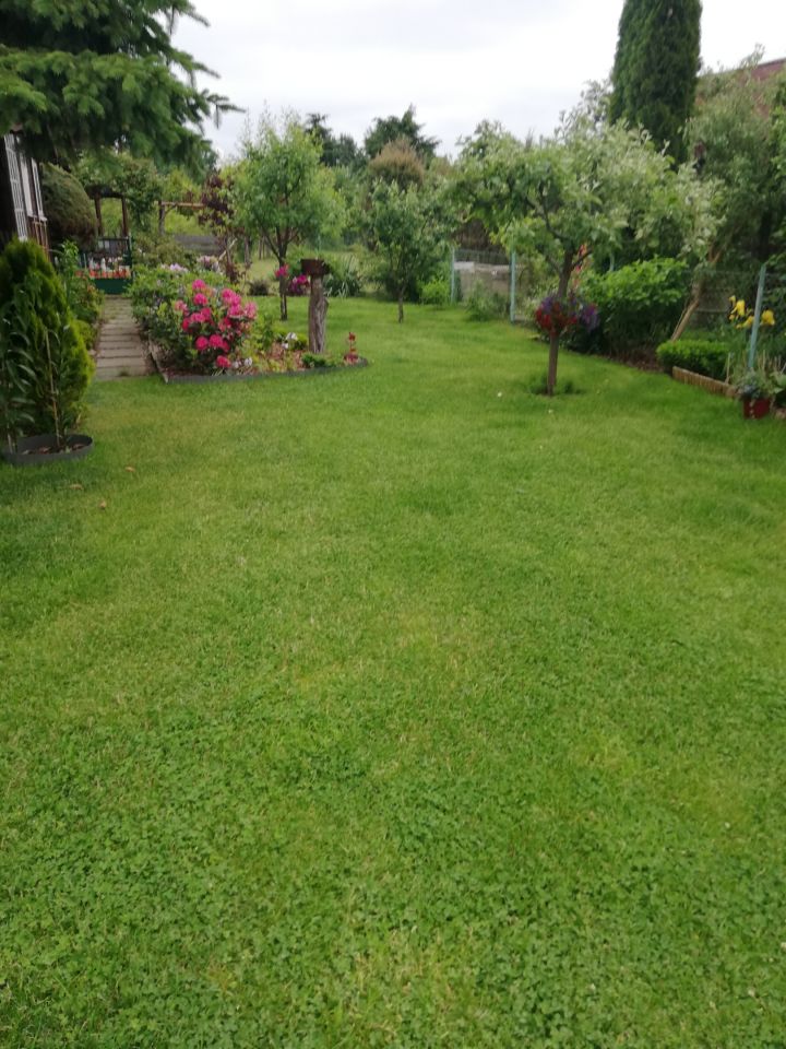 Działka rod Warszawa Bemowo, Dzialka ROD Bemowo II. Zdjęcie 7