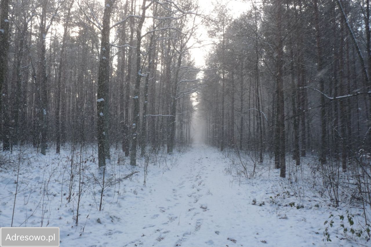 Działka budowlana Radziwiłłów. Zdjęcie 19