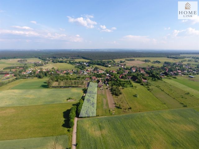 Działka rolno-budowlana Liwa, ul. Zielona. Zdjęcie 1