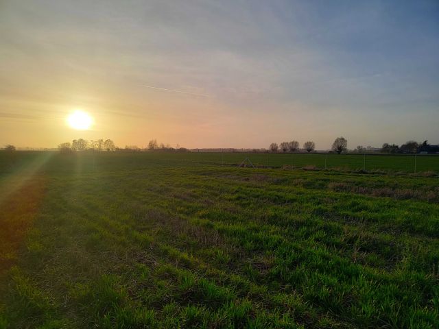 Działka rolno-budowlana Suchy Dąb, ul. Sportowa. Zdjęcie 1