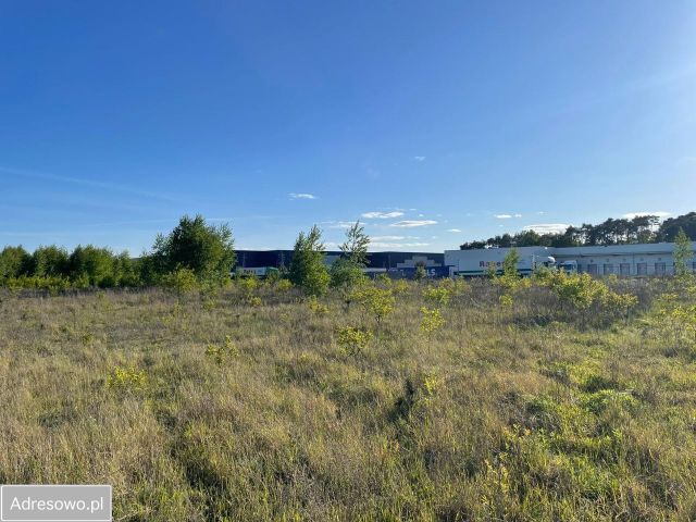 Działka inwestycyjna Lisi Ogon, ul. Potulicka. Zdjęcie 1