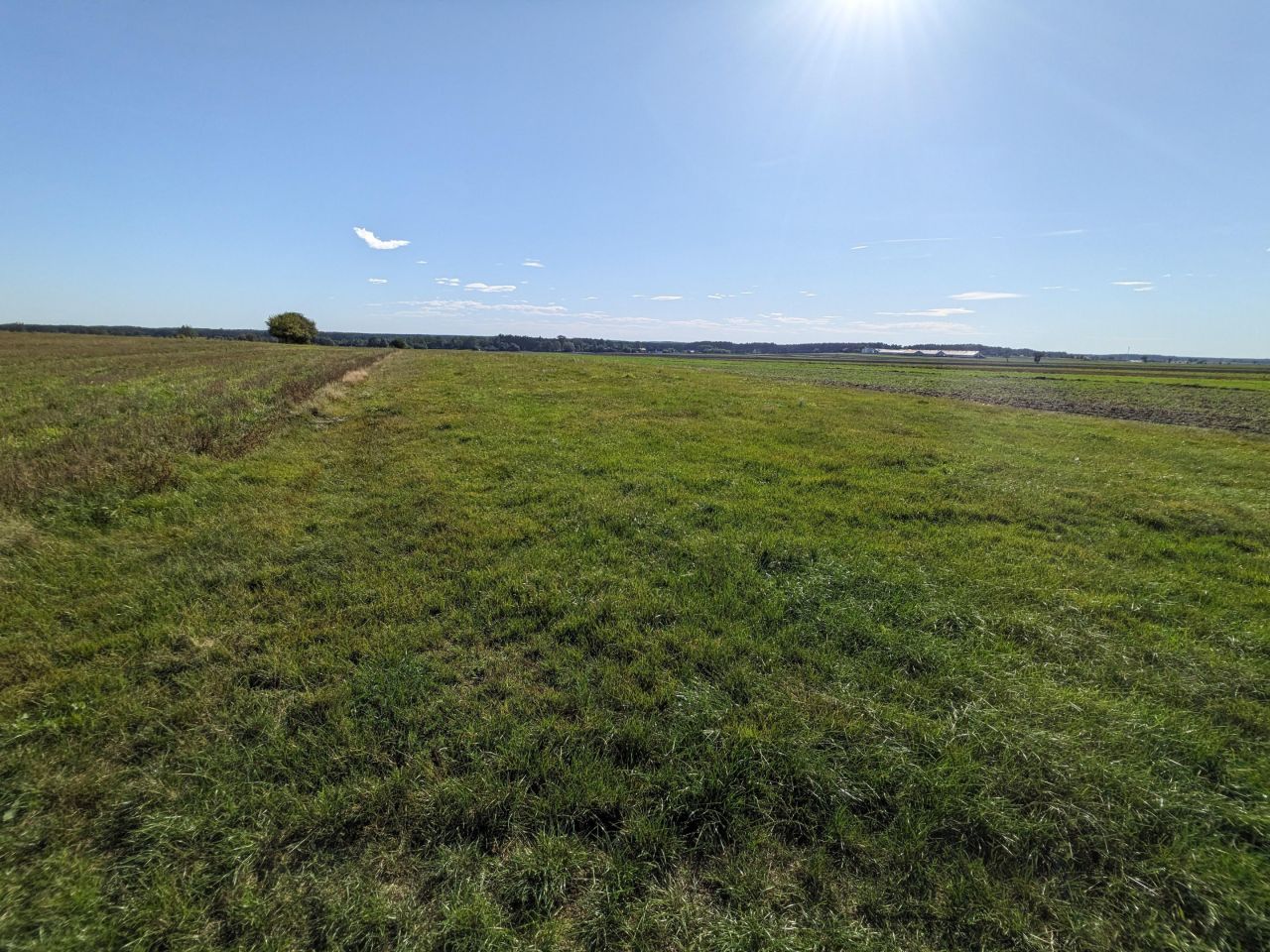 Działka rolna Eliaszówka. Zdjęcie 10