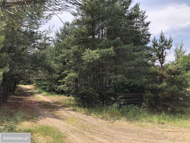 Działka rekreacyjna Ostrowo. Zdjęcie 1